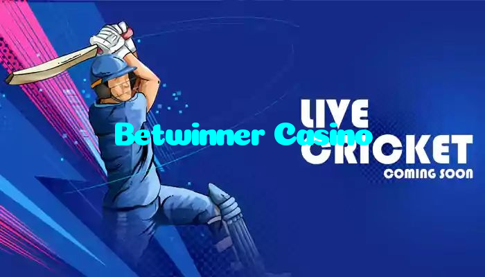 Betwinner Casino خوش آمدید بونس +600% پیشکش موبائل ایپ کے پروموشن سیکشن میں دکھائی دیتی ہے۔